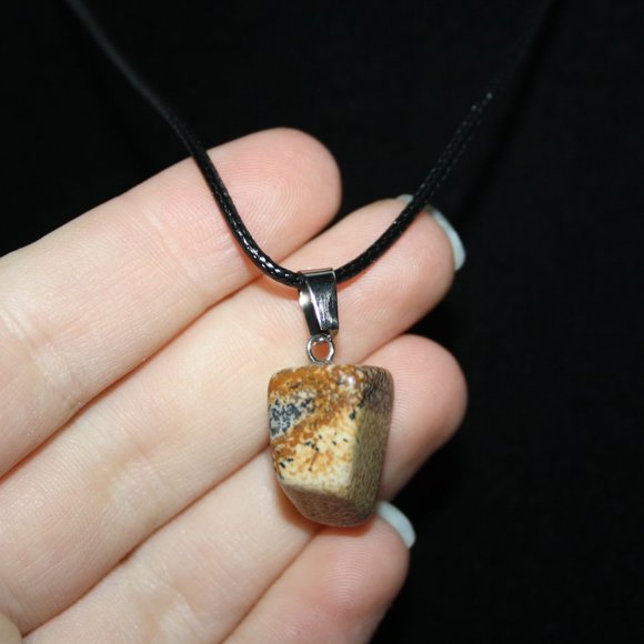 Nwot black cord and pictured jasper necklace